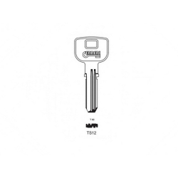Klucz surowy TS12 / TS21 (TE5) TESA