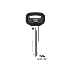 Klucz surowy DS2RP123 (DH4RP)