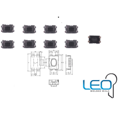 Microswitch 11